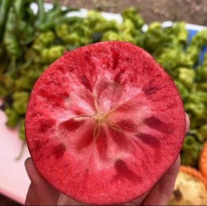Red Flesh Apple Seeds