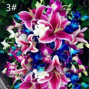 Perfume Liliy Seeds Rare Color Flower Garden Plant